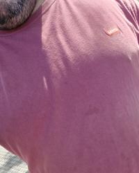 Foto de perfil de Bless