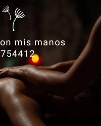 Foto 13 de 13