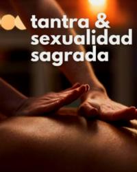 Foto 81 de 104