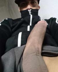 Foto 14 de 15