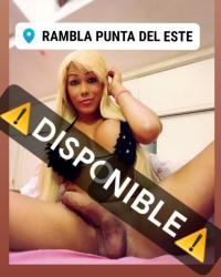 🟢PUNTA DEL ESTE🟢